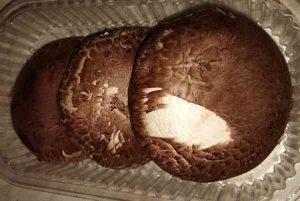 Champignon-Lauch-Ragout