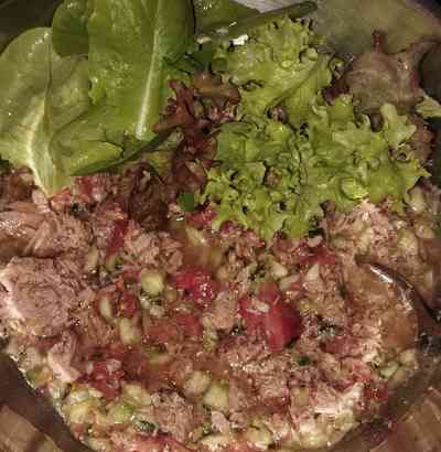 Tomate, Gurke, Thunfisch