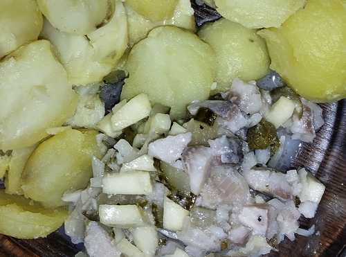 Salzhering Sächsische Art