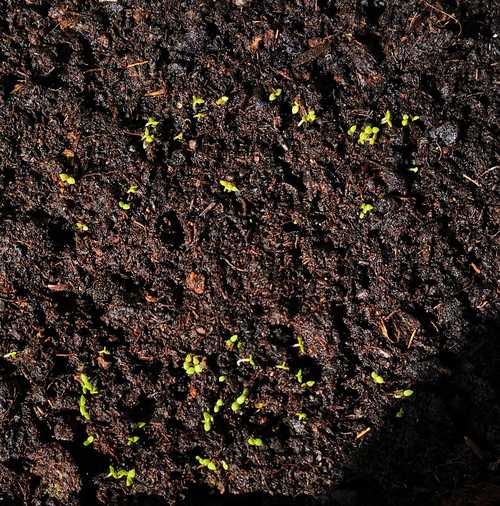 Wir schauen mal nach dem&nbsp;Tabak